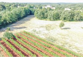 Istra, Krnica, okolica, zemljište s potencijalom, Marčana, Terrain