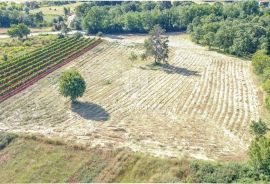 Istra, Krnica, okolica, zemljište s potencijalom, Marčana, Terrain