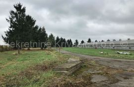 FARMA KOKA NESILICA, Magadenovac, Propiedad comercial