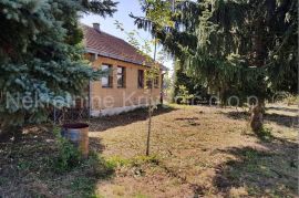 FARMA KOKA NESILICA, Magadenovac, Commercial property