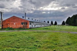 FARMA KOKA NESILICA, Magadenovac, Commercial property