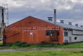 FARMA KOKA NESILICA, Magadenovac, Εμπορικά ακίνητα