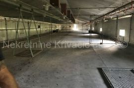 FARMA KOKA NESILICA, Magadenovac, Εμπορικά ακίνητα