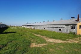 FARMA KOKA NESILICA, Magadenovac, Commercial property