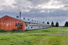 FARMA KOKA NESILICA, Magadenovac, Commercial property