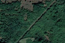 Poljoprivredno zemljište i šuma, 71990 m2, Poreč, Tierra