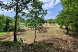 Barban, Rojnići - prekrasno pravokutno građevinsko zemljište 693 m2, Barban, Land