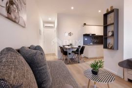 RIJEKA, CENTAR - uhodani apartmani u centru grada, Rijeka, شقة