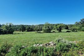 ISTRA, PAZIN - Veliko građevinsko zemljište za izgradnju kompleksa vila, Pazin - Okolica, Terreno