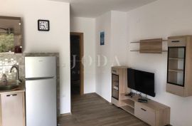 Lukovo kuća  sa 4 apartmana, Senj, House