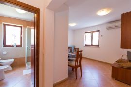 Stan 2SS+DB za zajedničkim bazenom, Novigrad, Istra, Novigrad, Apartamento