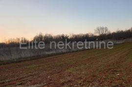 Gočan - poljoprivredno zemljište nepravilnog oblika, 8853 m2, Barban, Terreno