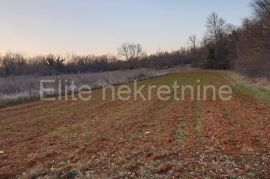 Barban - prostrano poljoprivredno zemljište 12.919 m2, Barban, Land