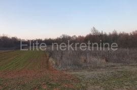 Barban - prostrano poljoprivredno zemljište 12.919 m2, Barban, Γη