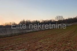 Barban - prostrano poljoprivredno zemljište 12.919 m2, Barban, Land