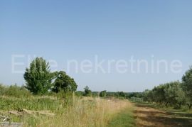 Smoljanci - građevinsko zemljište 2212 m2, Svetvinčenat, Land