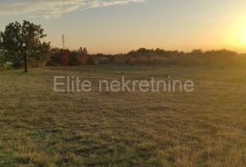 Bibići - građevinsko zemljište - 4900m2, INDUSTRIJSKA ZONA, Svetvinčenat, Land