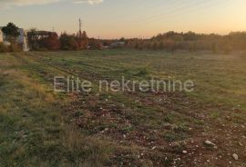 Bibići - građevinsko zemljište - 4900m2, INDUSTRIJSKA ZONA, Svetvinčenat, Tierra