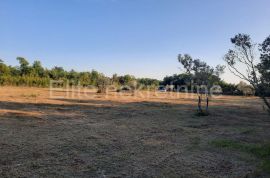 Vodnjan - poljoprivredno zemljište, Vodnjan, Terreno