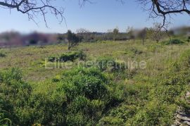 Rakalj - prodaja građevinskog zemljišta, 3500m2, Marčana, Terra