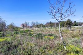 Rakalj - prodaja građevinskog zemljišta, 3500m2, Marčana, Terreno