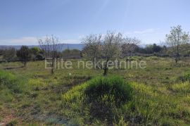 Rakalj - prodaja građevinskog zemljišta, 3500m2, Marčana, Terreno