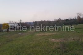 Valtura - poljoprivredno zemljište 3020m2, Ližnjan, أرض