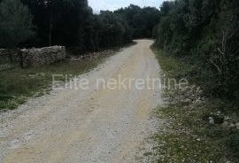 Marčana - prodaja poljoprivrednog zemljišta, Marčana, Terreno