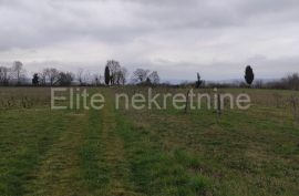 Istra, Barban - prodaja Poljoprivredog zemljišta!, Barban, Terreno