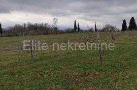 Istra, Barban - prodaja Poljoprivredog zemljišta!, Barban, Terreno