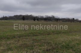 Istra, Barban - prodaja Poljoprivredog zemljišta!, Barban, Γη