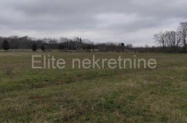 Istra, Barban - prodaja Poljoprivredog zemljišta!, Barban, Land