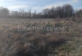 Barban,okolica, prodaja poljoprivrednog zemljišta! 11900m2, Barban, Terrain