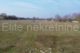 Vodnjan - građevinsko zemljište za stambenu i poslovnu namjenu, Vodnjan, Land