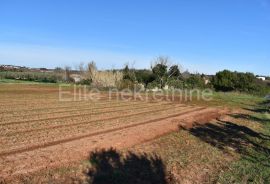 Ližnjan - građevinsko zemljište 1. red do mora!, Ližnjan, Land