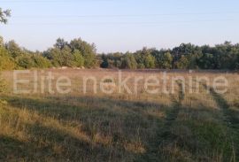 Marčana - poljoprivredno zemljište 30.000 m2, Marčana, Земля
