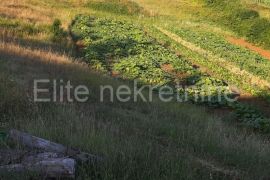 Prhati - poljoprivredno zemljište 14.480 m2, Barban, Arazi