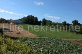 Barban - prodaja zemljišta 2.020 m2, Barban, Земля