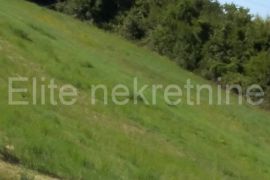 Barban - prodaja zemljišta 2.020 m2, Barban, Terrain