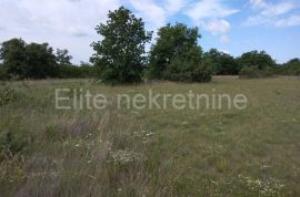 Pekići - poljoprivredno zemljište, Svetvinčenat, Land