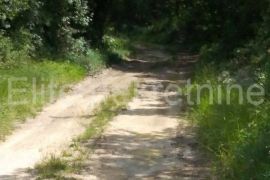 Pekići - poljoprivredno zemljište, Svetvinčenat, Land