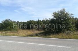 Vodnjan - zemljište 21.029 m2, Vodnjan, Tierra