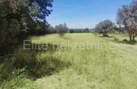 Peroj - poljoprivredno zemljište, Vodnjan, Terreno