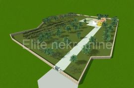 Marčana - 15.000 m2 zemljište sa idejnim planom, Marčana, Zemljište