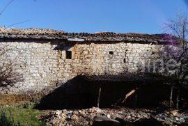 Dvojna kamena kuća u okolici Pazina, 100 m2, Pazin - Okolica, Kuća