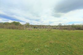 Bale - građevinsko zemljište 6.600 m2, Bale, Terra