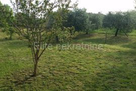Fažana - stambeni objekt i poljoprivredno zemljište 1.155 m2, Fažana, Arazi