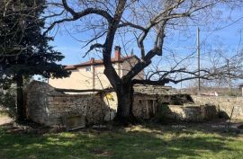 Kuća Stara kamena kuća u Istri, Buje, 5km od mora, Buje, Famiglia