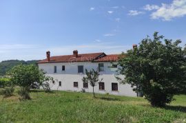 ISTRA VIŽINADA - VELIKA KUĆA, Vižinada, Casa