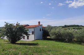 ISTRA VIŽINADA - VELIKA KUĆA, Vižinada, Maison